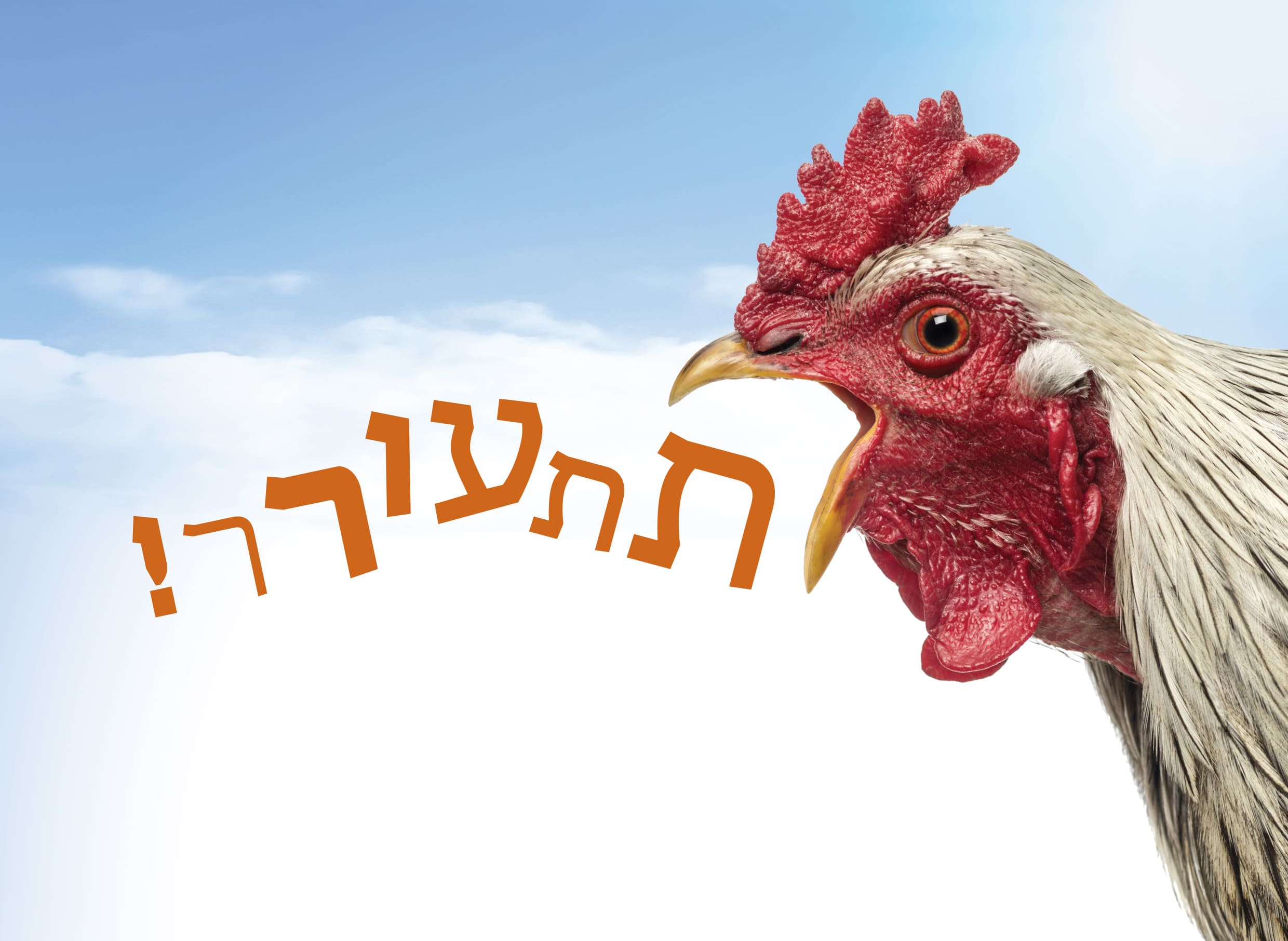 תתעורר